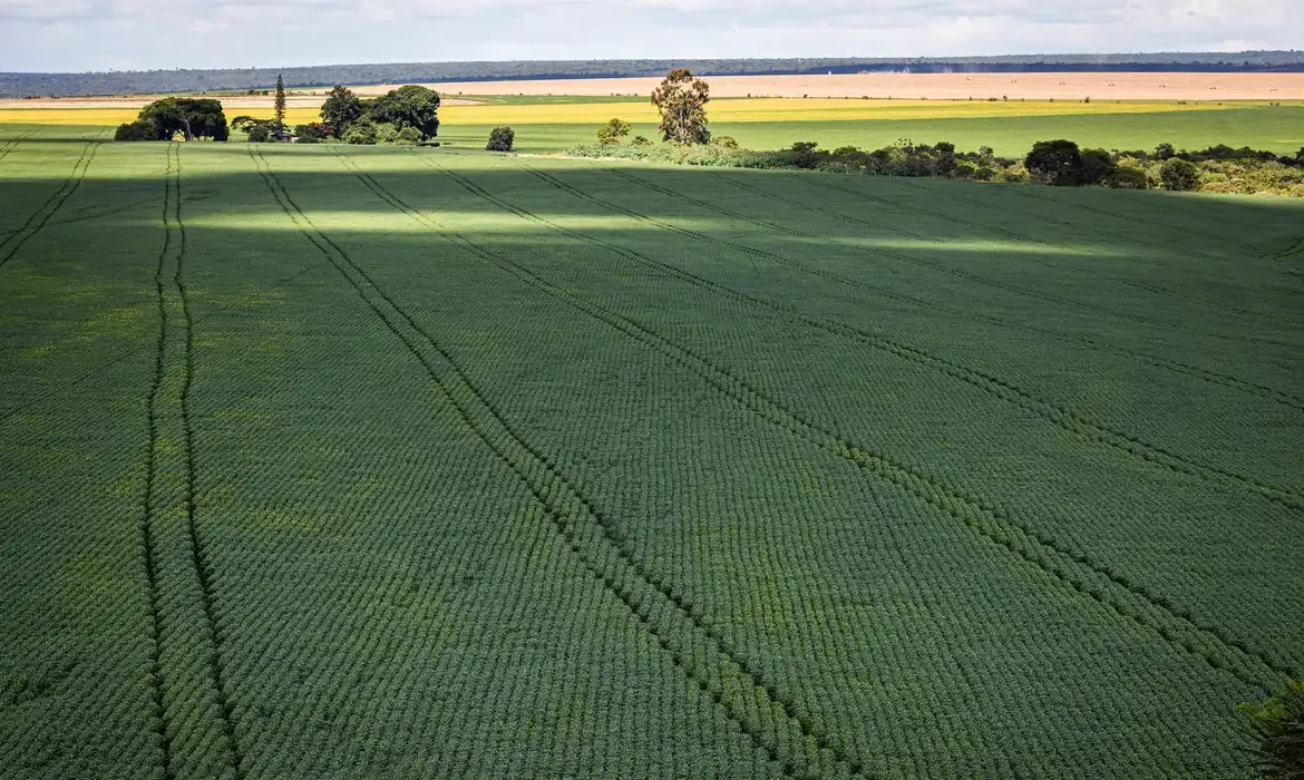 área rural